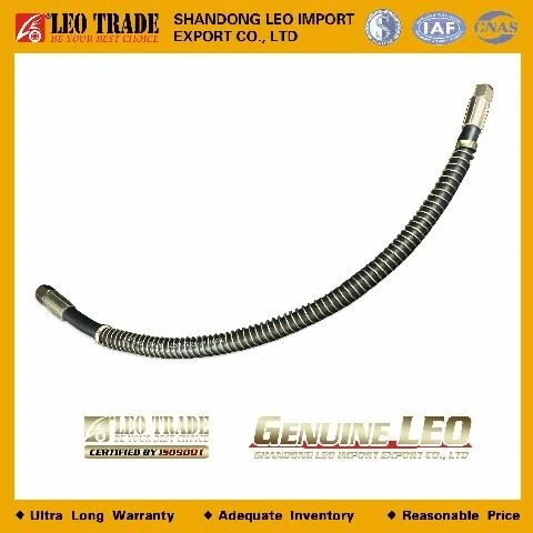 LEO500021A